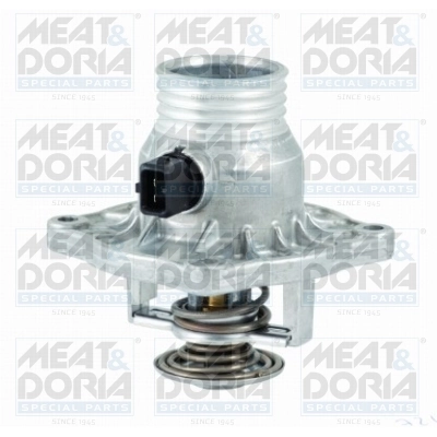 Thermostat, coolant